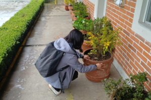 Promueve Conalep trabajo comunitario en el alumnado.